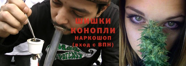 дмт Гусев