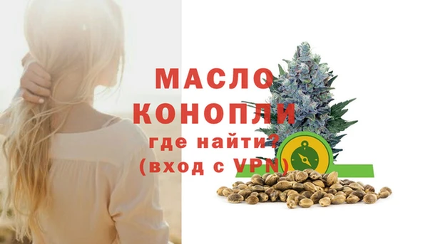 дмт Гусев