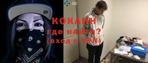 дмт Гусев