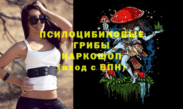 марки lsd Гусь-Хрустальный