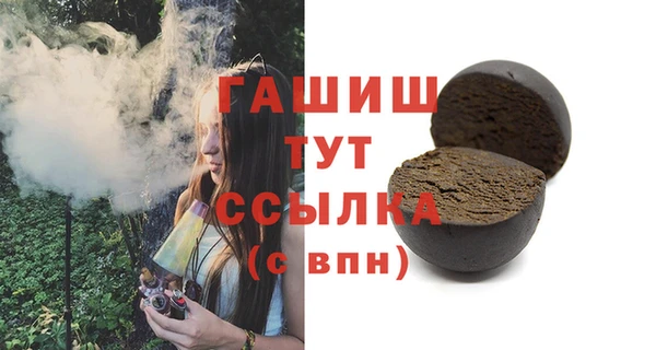 молекула духа Вяземский